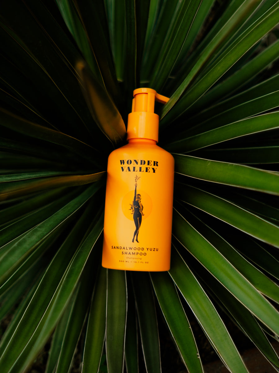 Wonder Valley - Yuzu & Sandalwood Shampoo – Windmill City Super #1